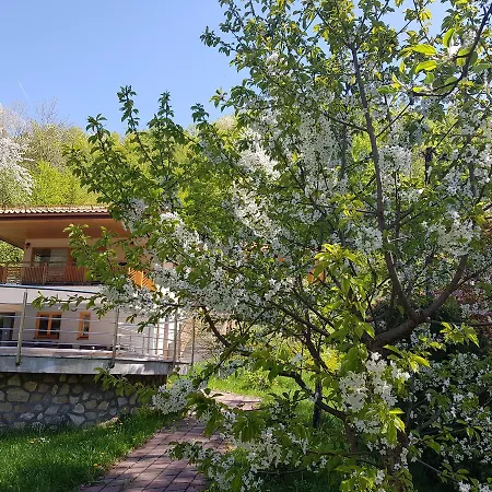 Vila Faletici Villa *